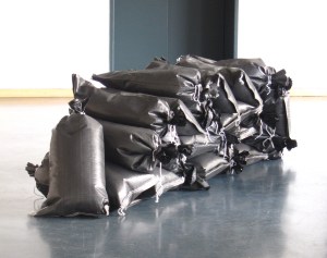 Schutzwall_Rose Stach